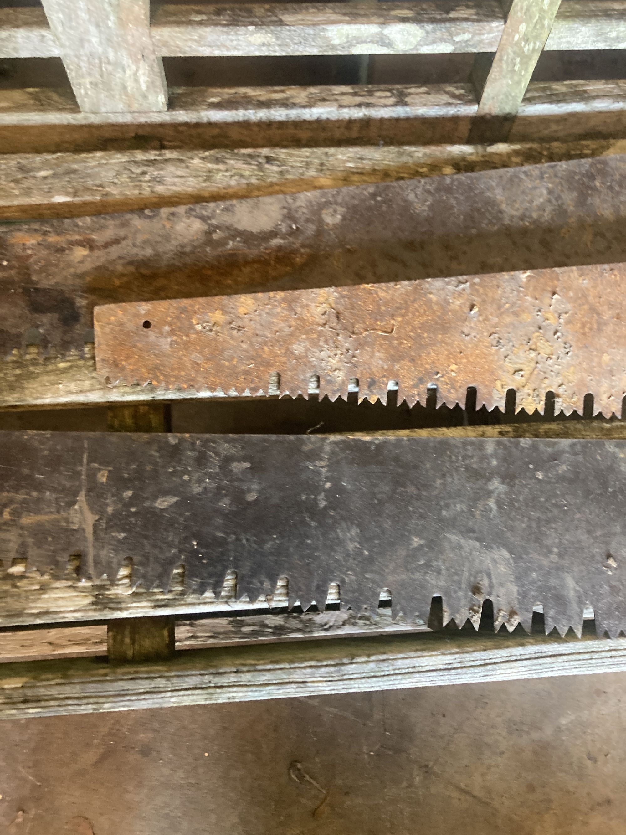 Three vintage hand saws, largest 120cm